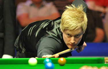 共同情感的 共同情感的